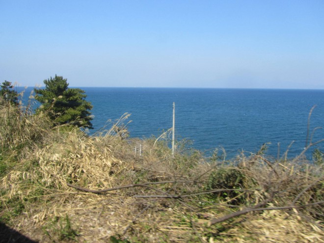 IMG_3800.JPG