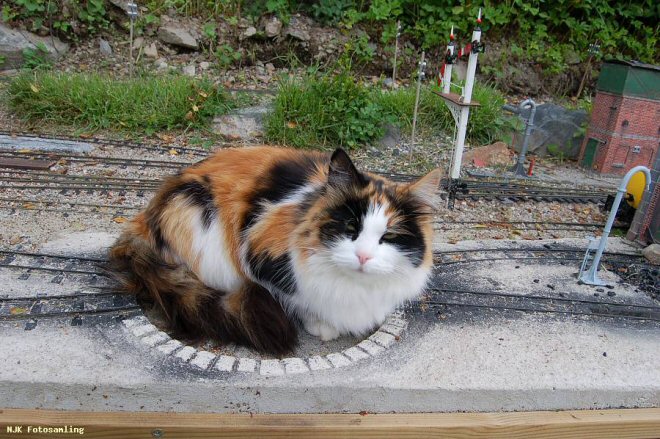 Chatourne.jpg