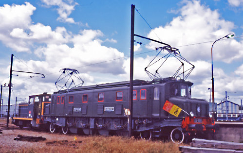 02-2D2-5525brw.jpg