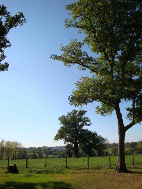 Pano1.jpg