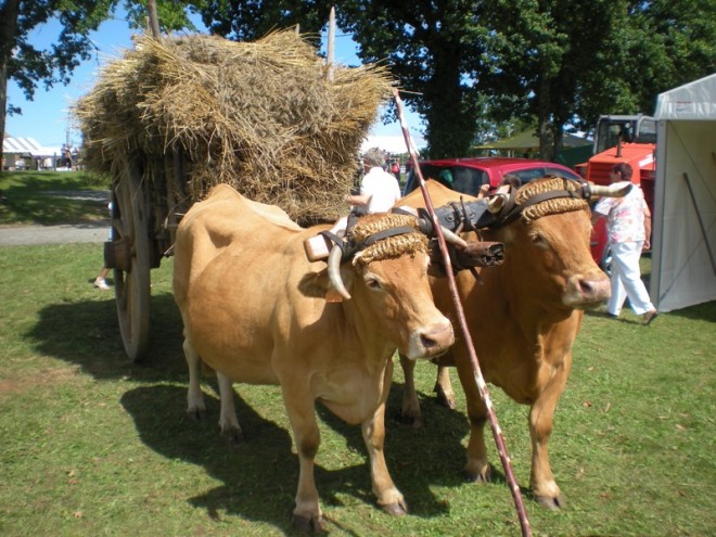 corrèze 2011 017.jpg