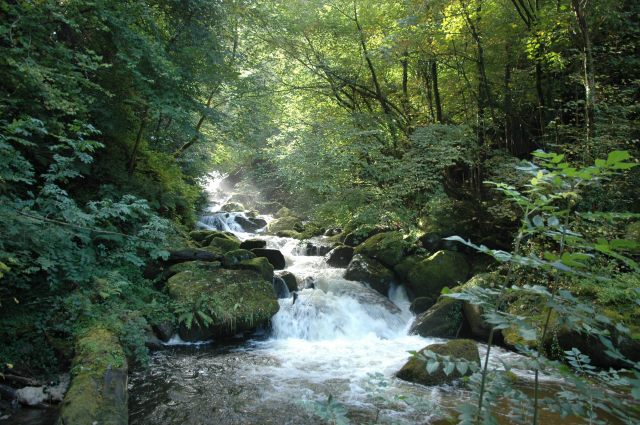 2011-09-21-0050-lynmouth_1_1.jpg