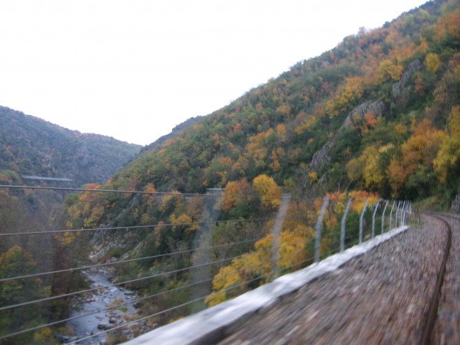 IMG_6574.jpg