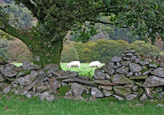 2011-09-25-0119-marc-beddgelert.jpg