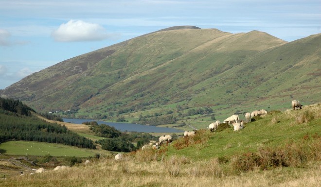 2011-09-26-0100-rhyd.ddu.jpg