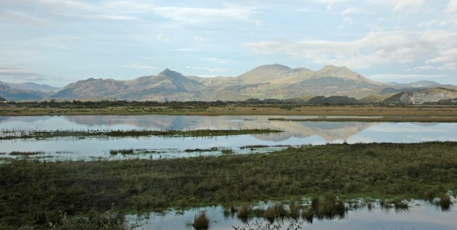 2011-09-26-0189-porthmadog.jpg
