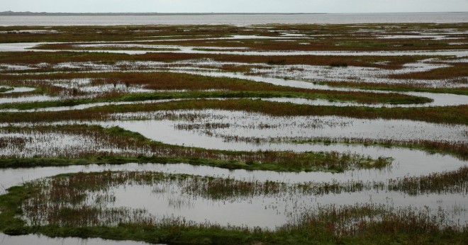 2011-09-27-0020-porthmadog.jpg