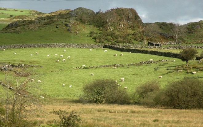 2011-09-27-0053-conwy.valley.jpg