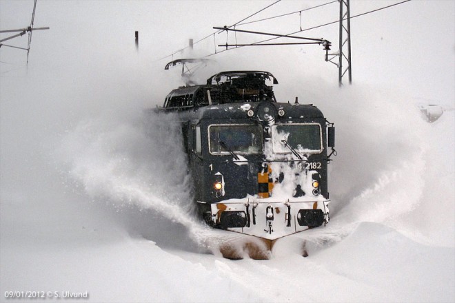 Neige 120109.jpg