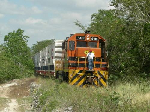 DSCN2264.jpg