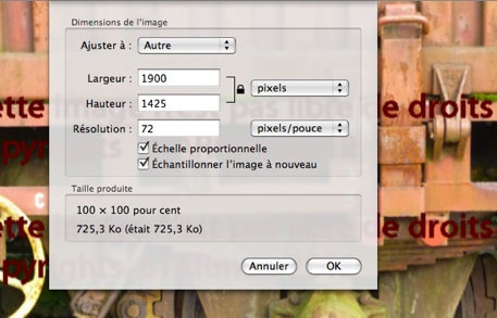 1900 pixels.jpg