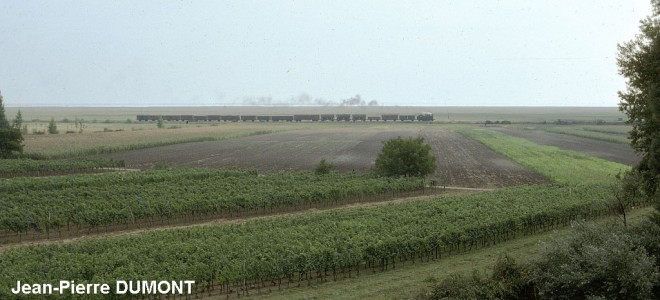 76-09-90902-neusiedl-a-see.jpg