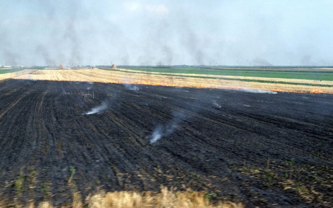76-09-91008-pamhagen-neusiedl.jpg