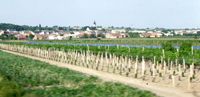 76-09-91012-pamhagen-neusiedl.jpg
