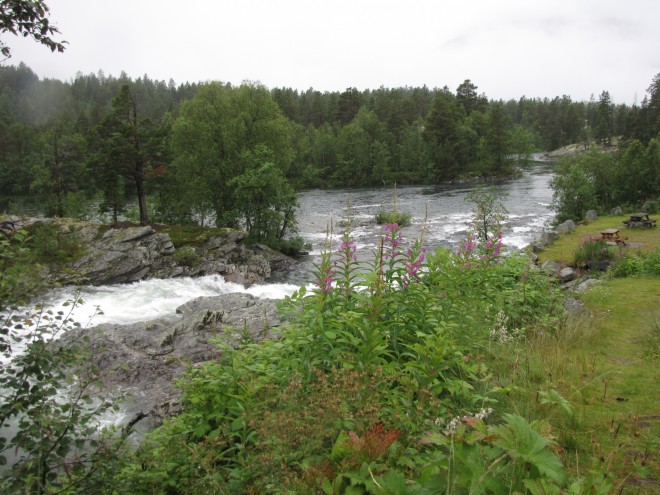 IMG_6005_1900.JPG