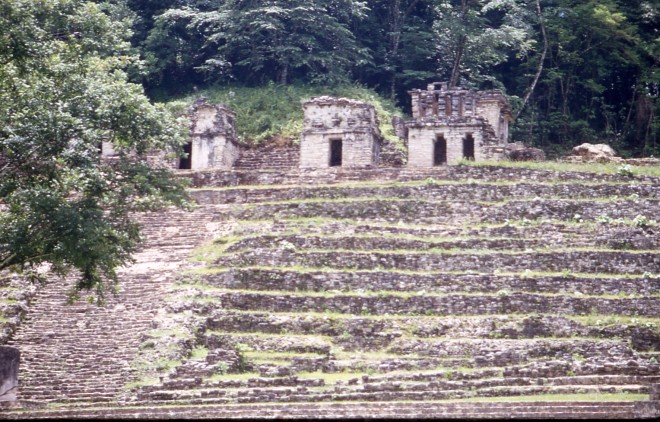 File0115.jpg