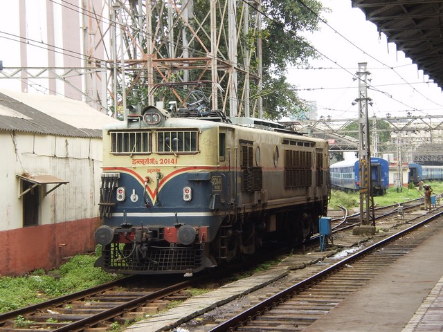 P8060033 b.JPG