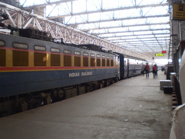 P8080060 b.JPG