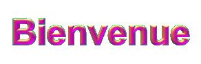 accueil_023.gif