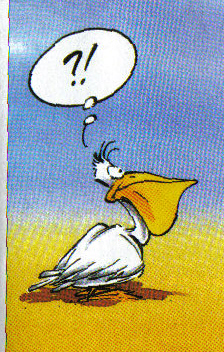 pélican.jpg