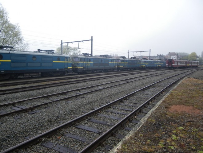 IMGP1273.JPG