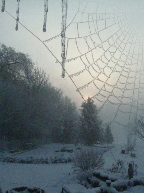 IMG_6253_rszd.JPG