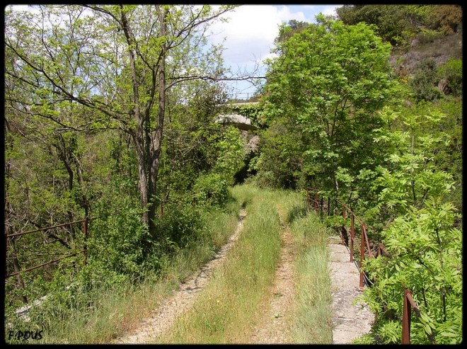 Farelle-viaduc-2004.jpg