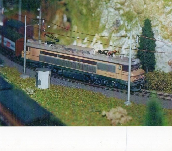 49439417.jpg