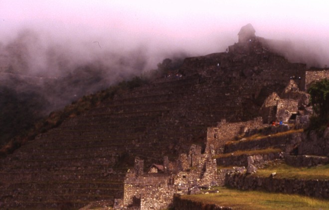 File0035e.jpg