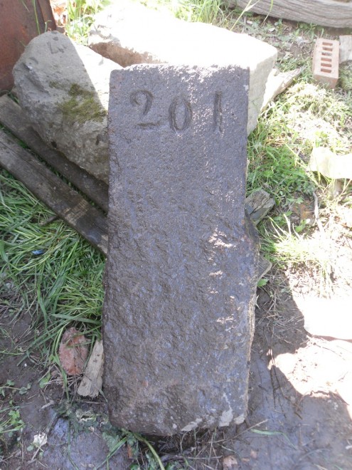 SAM_1169.jpg1.jpg