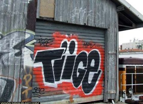 13235-graffiti-tige-2007-courbevoie-MaquisArt.com.jpg