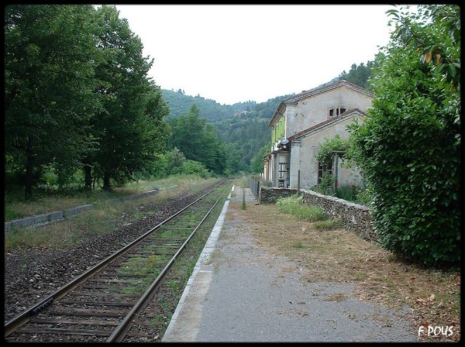 Ste-Cécile-2003-B.jpg