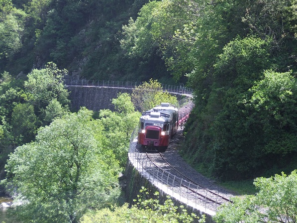 DSCF5723.jpg