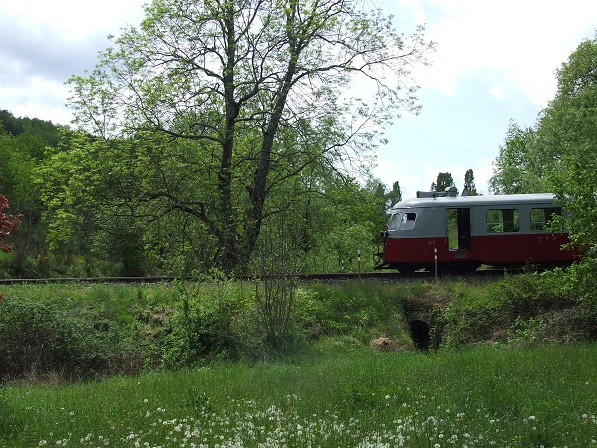 DSCF5751.jpg