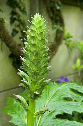 DSC_8055-01brw.jpg