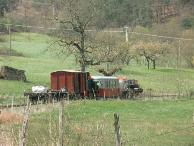 CIMG1755.JPG
