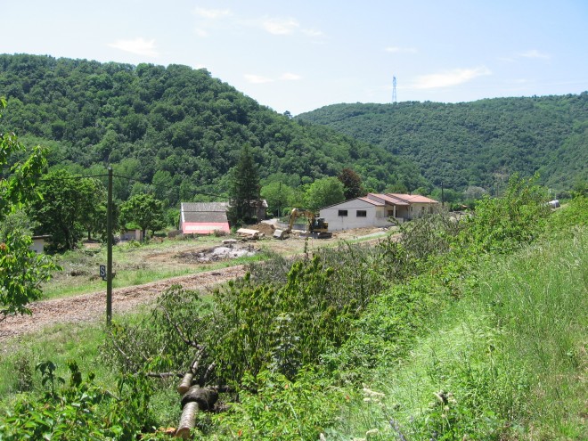 IMG_7283.jpg