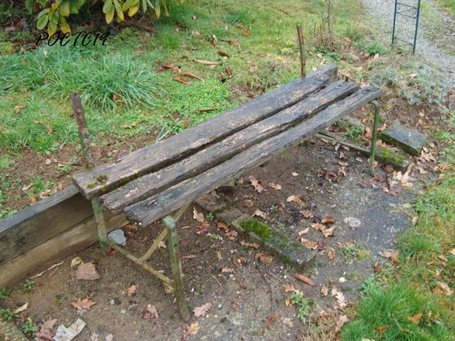 BANC POC 2.jpg