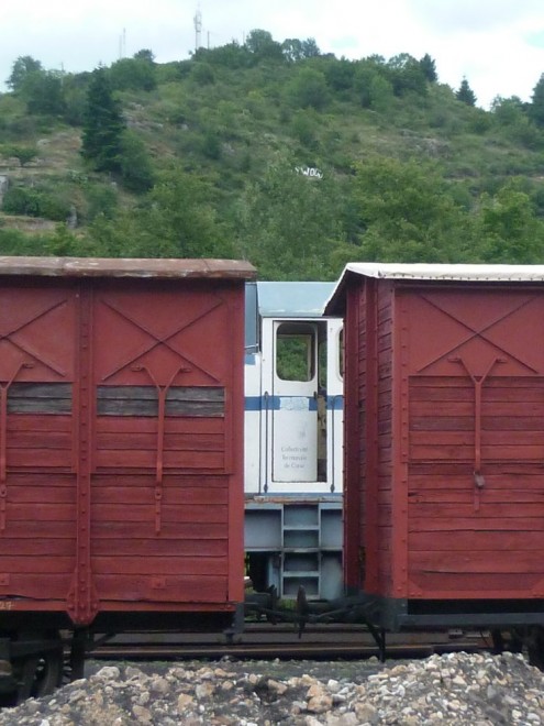 tn_P1090910.JPG