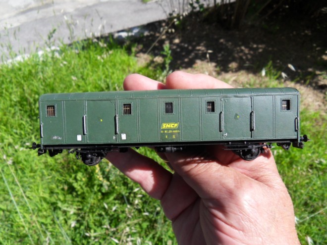SDC14229.JPG