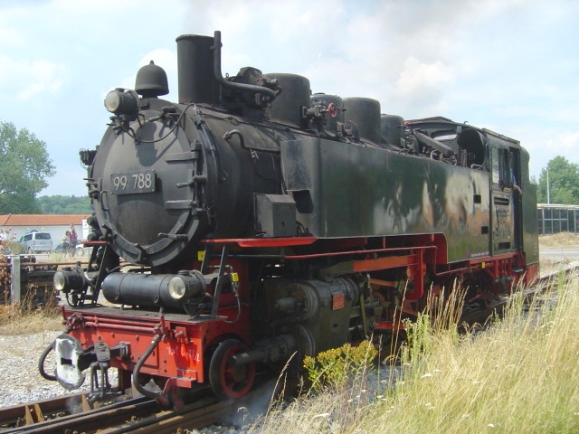 Ochsle1.jpg