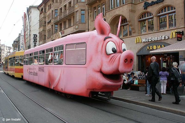 train-cochon.jpg