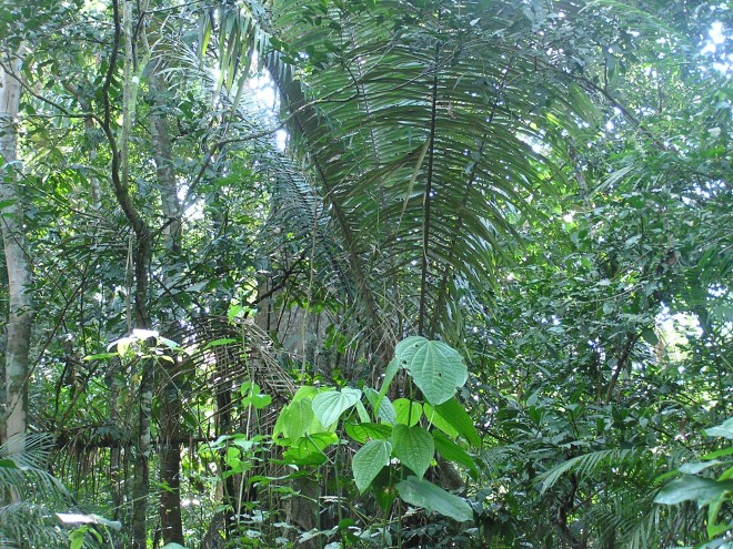P1010215.JPG