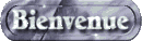 bienvenue2[1].gif