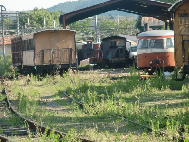 CIMG1826.JPG