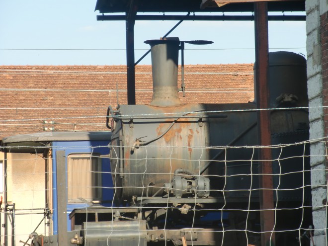 CIMG1831.JPG