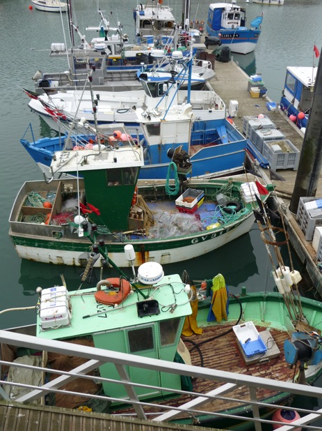 P1000491.JPG