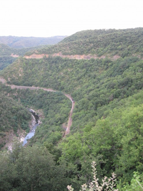 IMG_7423.jpg