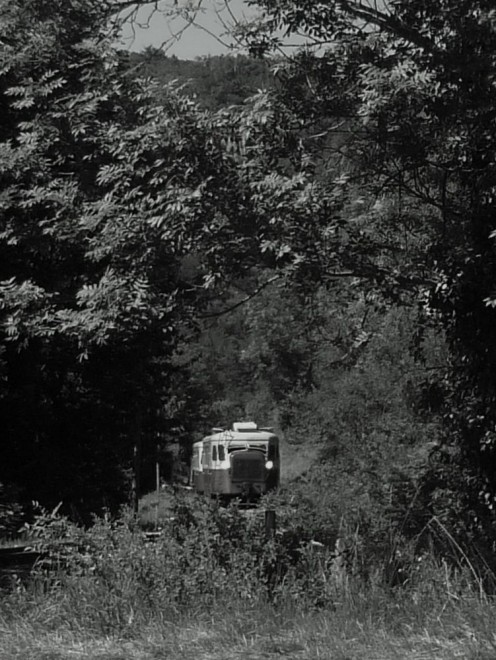 tn_P1100513.JPG