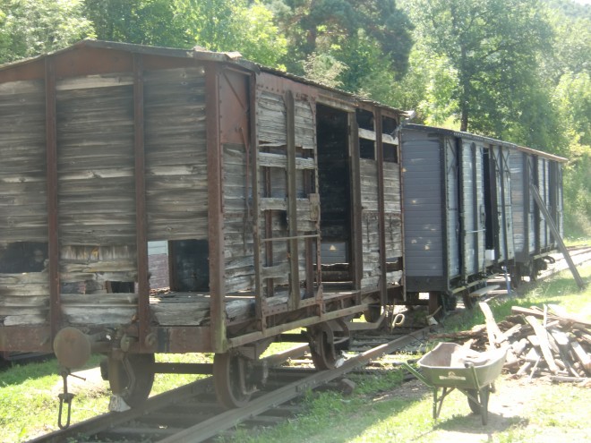 CIMG1863.JPG